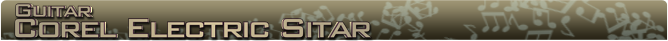 Coral Sitar Name banner