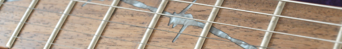 Dean Dave Mustaine V photo 16