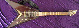 Dean Dave Mustaine V photo 18