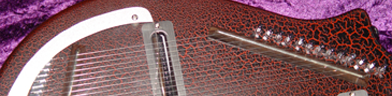 Electric sitar photo 2