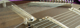 Electric sitar photo 3