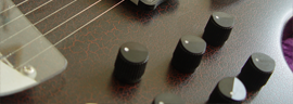 Electric sitar photo 4