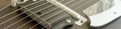 Electric sitar photo 5