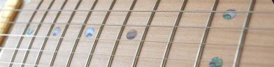 Fender TRK1 photo 3