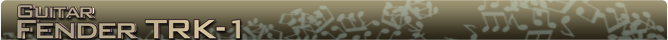 Fender TRK Name banner