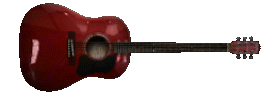 Guitar-Spin-Washburn-D11TR