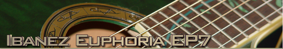 Ibanez EP7 Top Banner