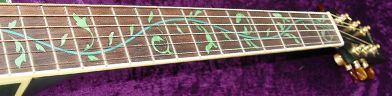 Ibanez Ep7 photo 5