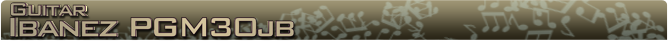 Ibanez PGM30jb Name banner