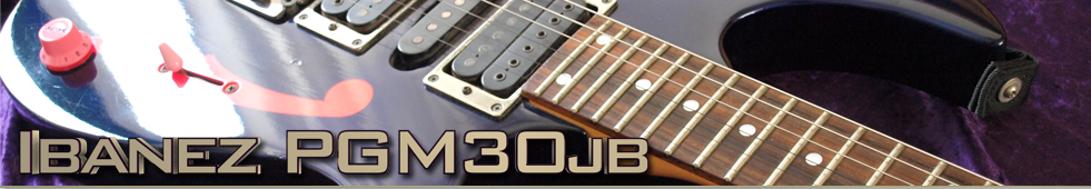 Ibanez PGM30jb Top banner