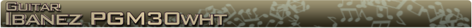 Ibanez PGM30wh Name banner