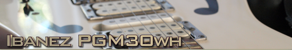 Ibanez PGM30wh Top banner