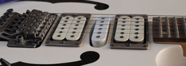 Ibanez PGM30wht photo 7