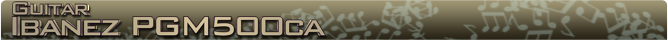 Ibanez PGM500ca Name banner