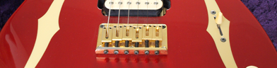 Ibanez PGM500ca Photo 1