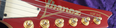 Ibanez PGM500ca Photo 2