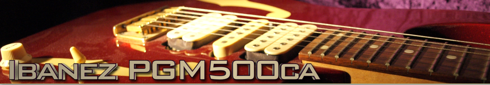 Ibanez PGM500ca top banner 2