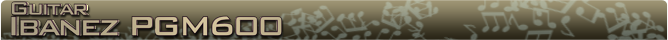 Ibanez PGM600 Name banner