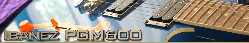 Ibanez PGM600 Top banner