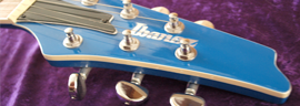 Ibanez PGM600 photo 6