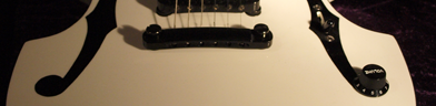 Ibanez PGM700wht photo 3