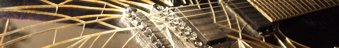 Ibanez PS10th photo 7
