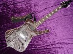 Ibanez_PS2_Photo