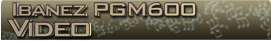 Ibanez Pgm600 video banner