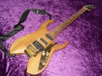 Ibanez_RBM10sol