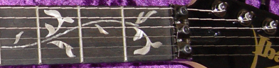 Ibanez jem77camo photo 2