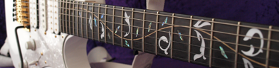 Ibanez jem7vwh Neck