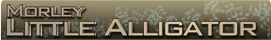 Little Alligator name banner