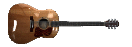 Washburn-D10-spin