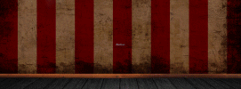 Washburn-Guitars-Banner