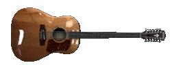 Washburn-Wd10s-spin-2