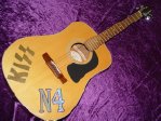 Washburn_D10_Photo
