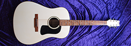 Washburn D10 Wh Spotlight