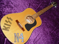 Washburn D10 photo 1