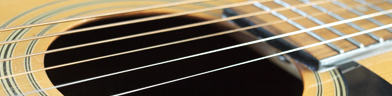 Washburn D10 photo 6