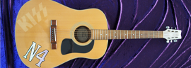 Washburn D10 photo 7