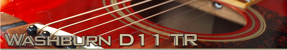 Washburn D11 TR Main Top banner