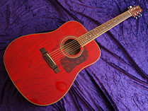 Washburn D11 TR Photo 1