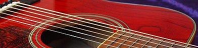 Washburn D11 TR Photo 2