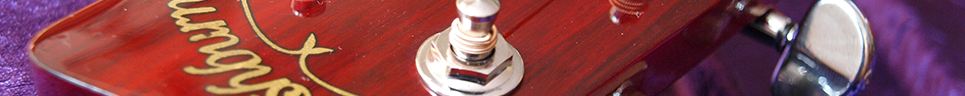 Washburn D11 TR Photo 3