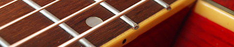 Washburn D11 TR Photo 4