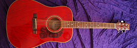 Washburn D11 TR Photo 6