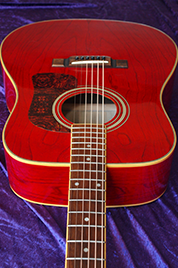 Washburn D11 TR Photo 7