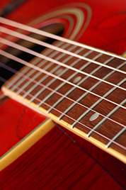 Washburn D11 TR Photo 8