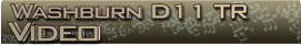 Washburn D11 TR Video Banner