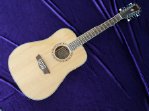 Washburn Heritage WD10s